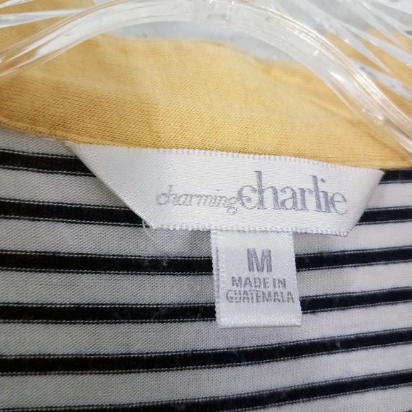 Charming Charlie Women's Button Down V Neck Pin Stripe Shirt Top Blouse - Picture 8 of 8